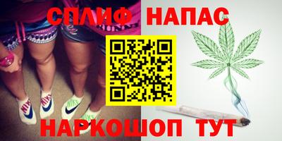 шишки Заводоуковск