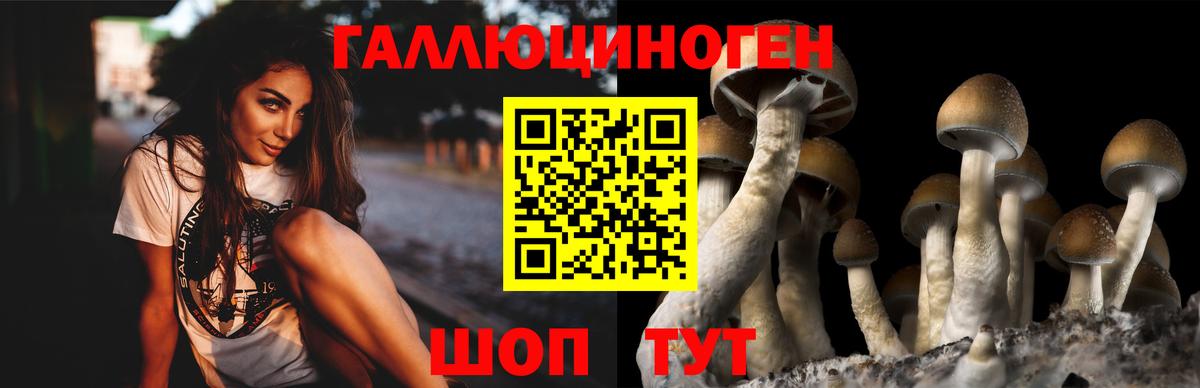 Галлюциногенные грибы GOLDEN TEACHER Лесосибирск