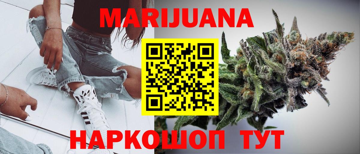 Конопля гибрид Лесосибирск